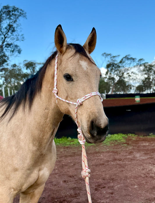 Rope Halter & Lead Rope Combo