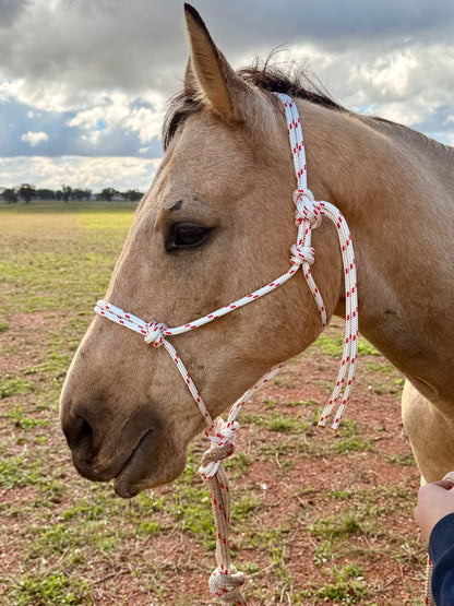 Premium Rope Halter