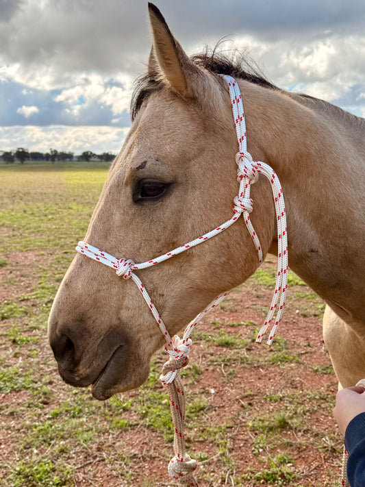 Premium Rope Halter