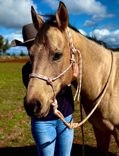 Rope Halter & Lead Rope Combo