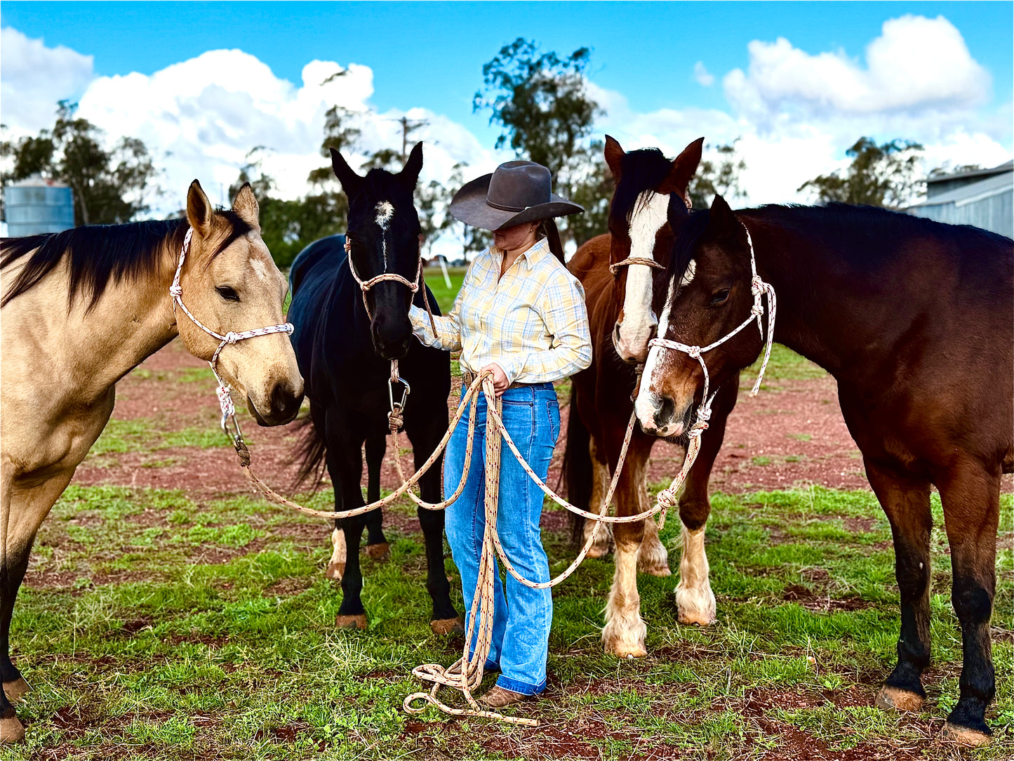 Rope Halter & Lead Rope Combo